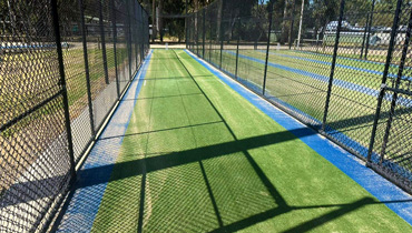 Cricket Pitches